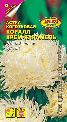 Астра Коралл Крем-карамель коготковая  С