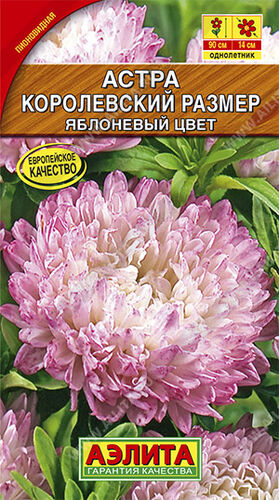 Астра Королевский размер Яблоневый цвет, пион.