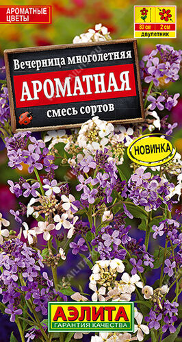 Вечерница Ароматная, смесь сортов