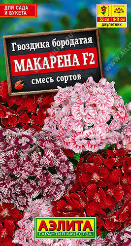 Гвоздика турецкая Макарена F2, смесь