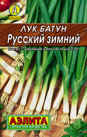 Лук батун Русский зимний