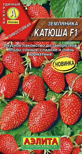 Земляника Катюша F1 крупноплодная ремонтантная  Е/п