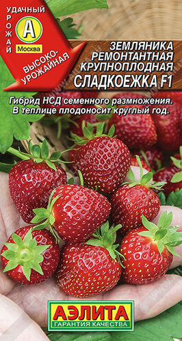 Земляника Сладкоежка F1 крупноплодная ремонтантная  Е/п