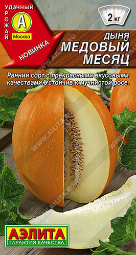 Дыня Медовый месяц Е/п