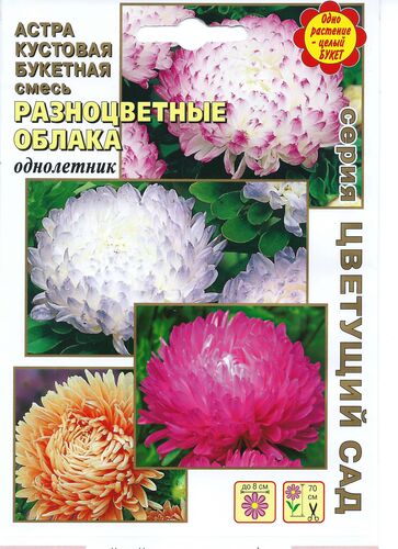 Астра Разноцветные облака, смесь кустовая  С  Б/ф