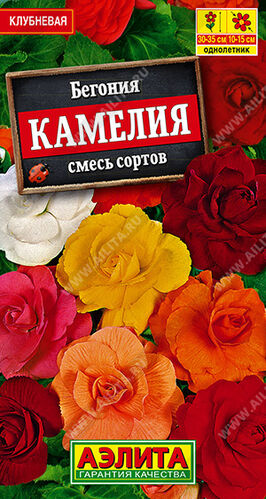 Бегония крупноцветковая Камелия, смесь