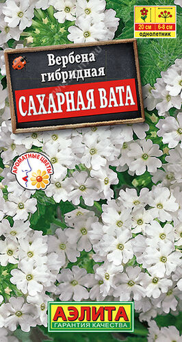 Вербена Сахарная вата