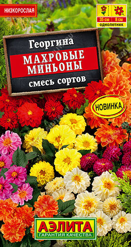 Георгина Махровые миньоны,смесь 