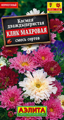 Космея Клик махровая, смесь сортов