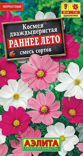 Космея Раннее лето, смесь сортов