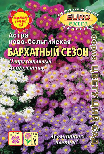 Астра Бархатный сезон, смесь ново-бельгийская мног.  С