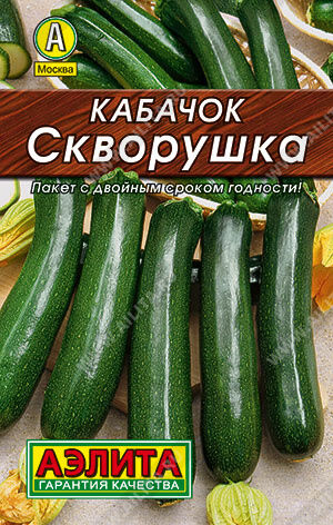 Кабачок цуккини Скворушка