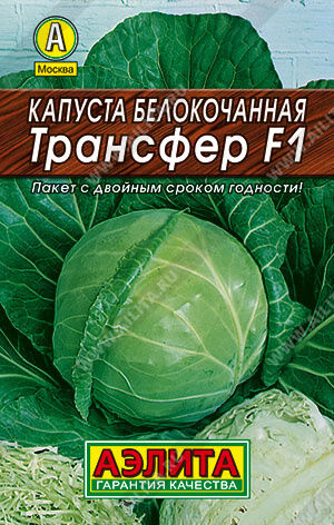 Капуста 1.р.Трансфер F1