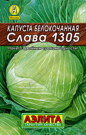 Капуста 2.с.Слава 1305