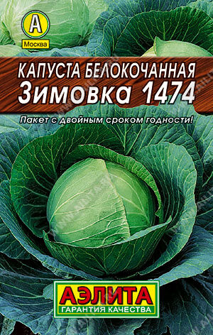 Капуста 3.п.Зимовка 1474